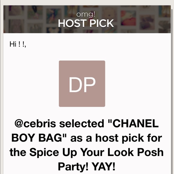 CHANEL BOY BAG SM GREY GHW - Picture 16 of 16